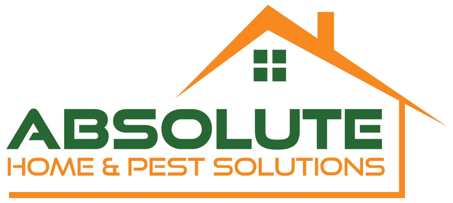 Pest Control In Baltimore Absolute Home And Pest Solutions