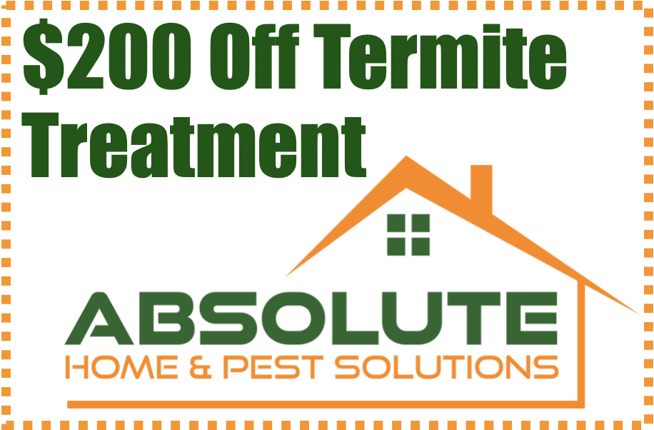 wildlife-removal-frederick-absolute-home-and-pest-solutions