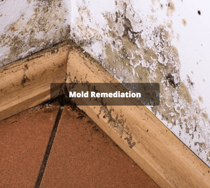 Columbia Mold Remediation